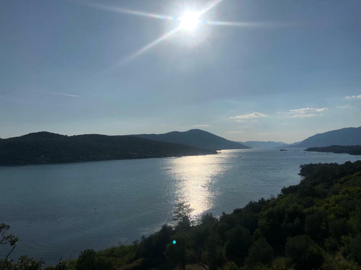 Vila Jovanka Tivat Ngoại thất bức ảnh